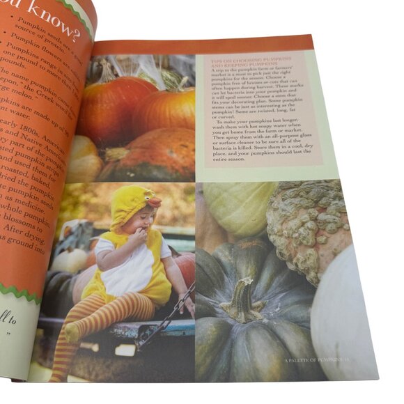 Gooseberry Patch Best Of Halloween 2013 Magazine Craft & Recipe Guide - Picture 4 of 7